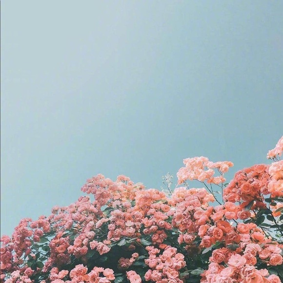 lindseyy12_